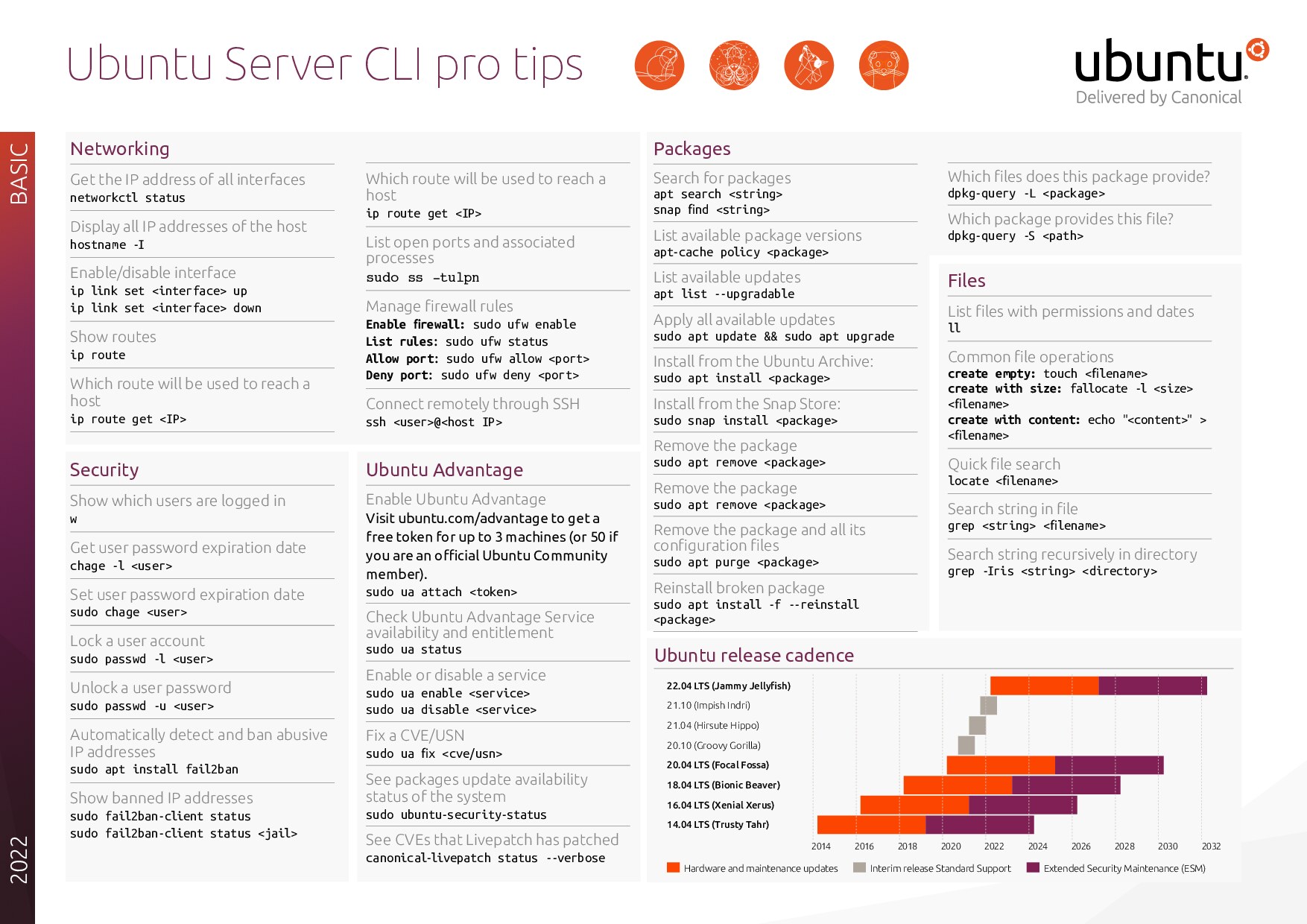 Ubuntu.Server.CLI.pro.tips.19.04.22