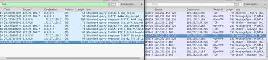 dns leak wireshark