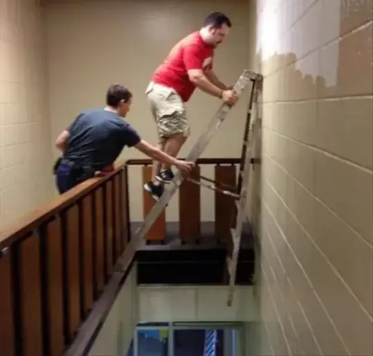 Guy on a dangerous ladder