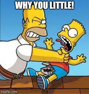 A random image from the internet