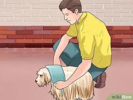 Image titled Treat Neck Pain in Dogs Step 22