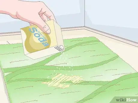 Image titled Remove Dog Urine Step 10