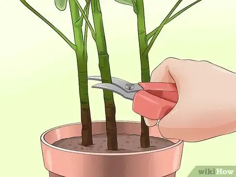 Image titled Prune a Schefflera Plant Step 4