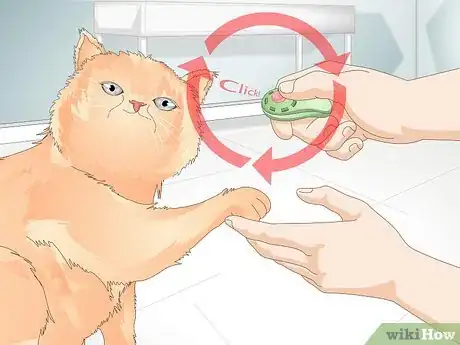 Image titled Teach Your Cat to Give a Handshake Step 11