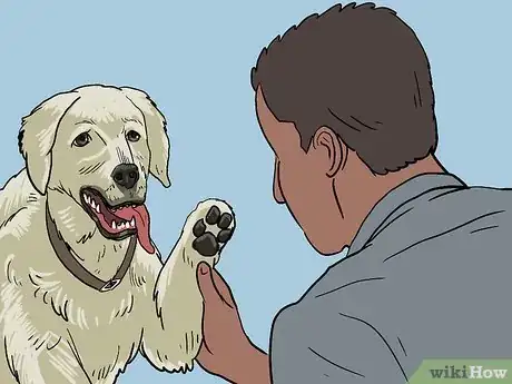 Image titled Treat a Panting Dog Step 8