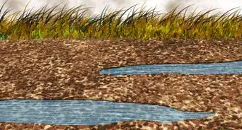 Reduce Stormwater Runoff at Your Home