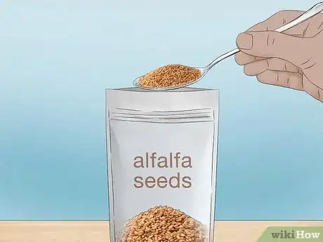 Image titled Grow Alfalfa Sprouts Step 13