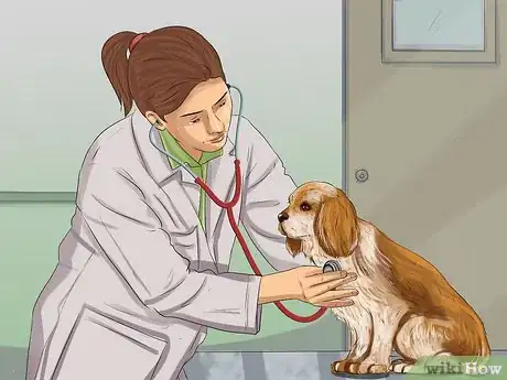 Image titled Treat Aspirin Poisoning in Dogs Step 5