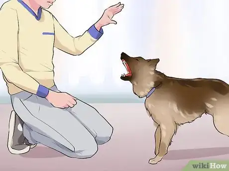 Image titled Get a Dog to Behave in Restaurants Step 5