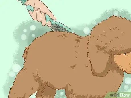 Image titled Brush a Poodle Step 8