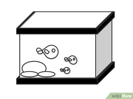 Image titled Draw Fish in a Fish Tank Step 5