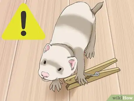 Image titled Keep a Single Ferret Happy Step 12