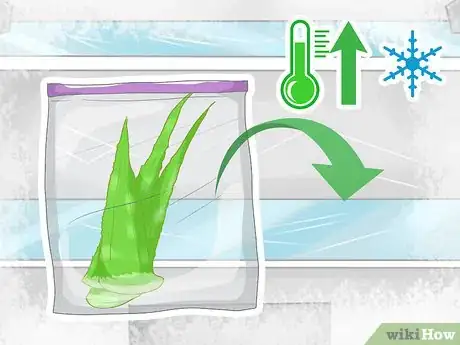 Image titled Store Aloe Leaves Step 2