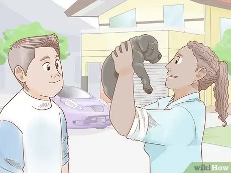 Image titled Care for a Dog Before, During, and After Pregnancy Step 18