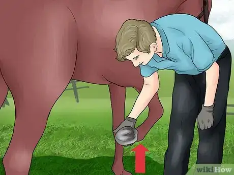 Image titled Pick a Horse Hoof Step 4