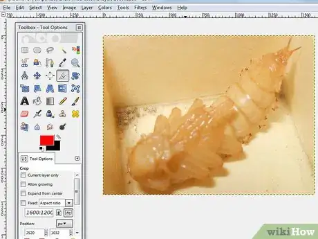 Image titled Extract an Image in GIMP Step 1