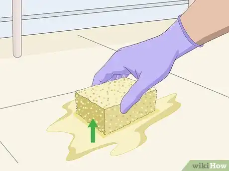 Image titled Remove Dog Urine Step 12