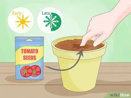 Image titled Grow Big Tomatoes Step 5