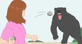 Survive a Bear Attack