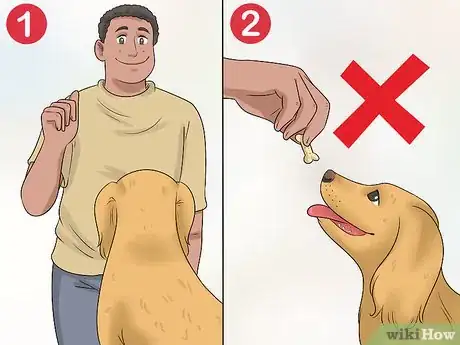 Image titled Train a Deaf Dog Step 10