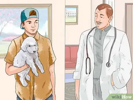 Image titled Identify a False Pregnancy in Dogs Step 1