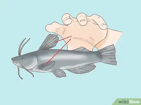 Image titled Hold a Catfish Step 3