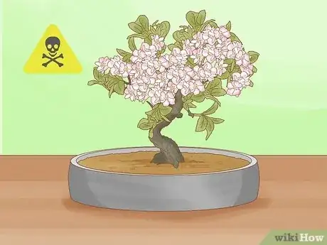 Image titled Are Bonsai Trees Poisonous to Cats Step 6