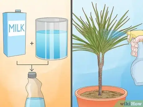 Image titled Why Does Your Plant Have White Spots Step 11