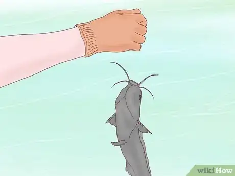 Image titled Catch a Pond Catfish Step 11