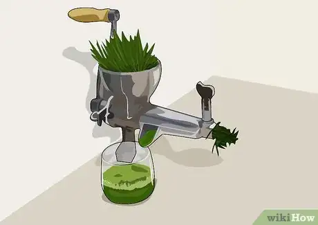 Image titled Juice Wheatgrass Step 6