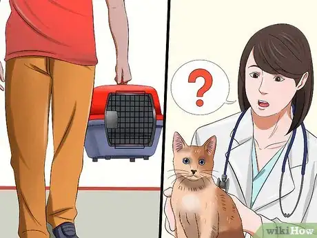 Image titled Tell if a Cat Has Rabies Step 6