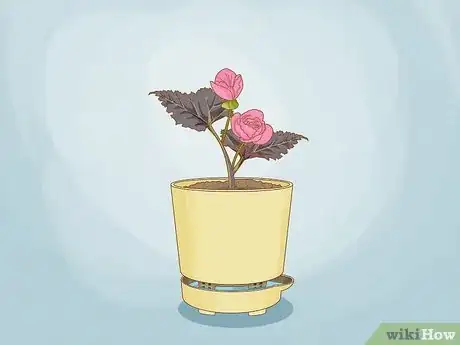 Image titled Use Self Watering Pots Step 13