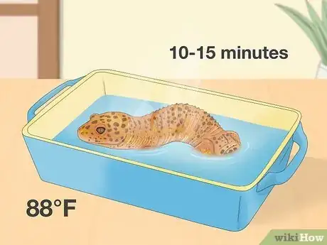 Image titled Give a Lizard a Bath Step 6