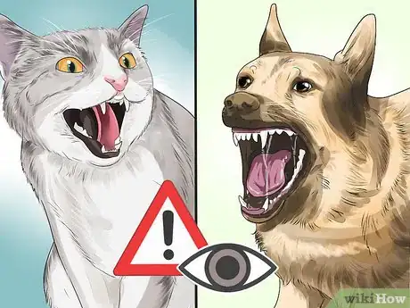 Image titled Know if a Pet Bite Is Serious Step 12