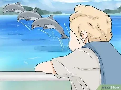 Image titled Pet a Dolphin Step 10