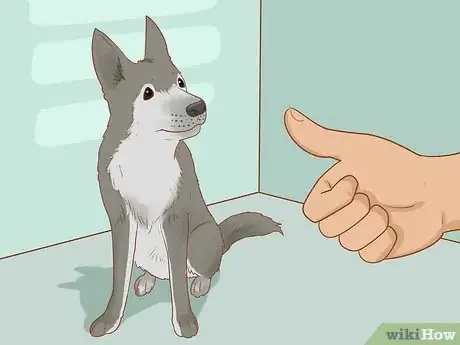 Image titled Stop Your Dog from Chewing Things it Shouldn't Step 3