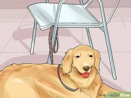 Image titled Get a Dog to Behave in Restaurants Step 10