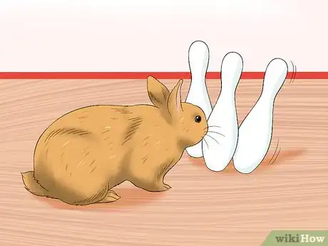 Image titled Treat Digestive Problems in Rabbits Step 18