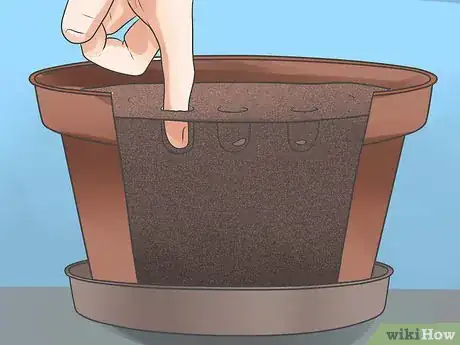 Image titled Use Your Compost Step 2