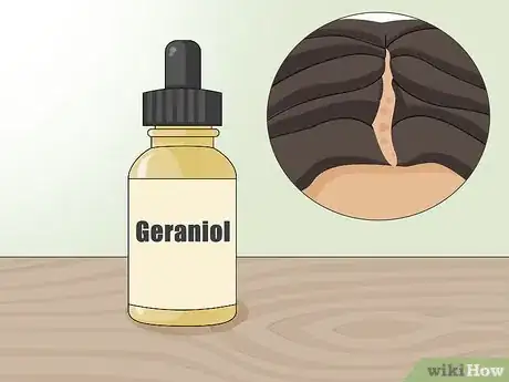 Image titled Use Essential Oils to Prevent an Itchy Scalp Step 2