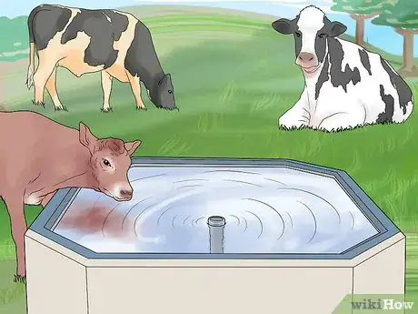 Image titled Start a Cattle Farm Step 17