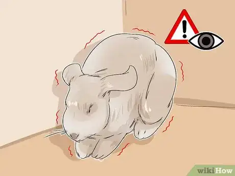 Image titled Diagnose Ear Mites in Rabbits Step 3