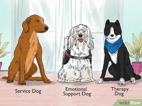 Image titled Train Your Service Dog Without a Professional Trainer Step 6