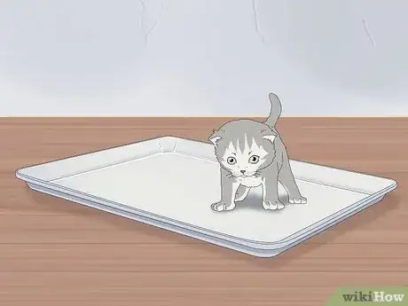 Image titled Give a Kitten a Bath Step 1