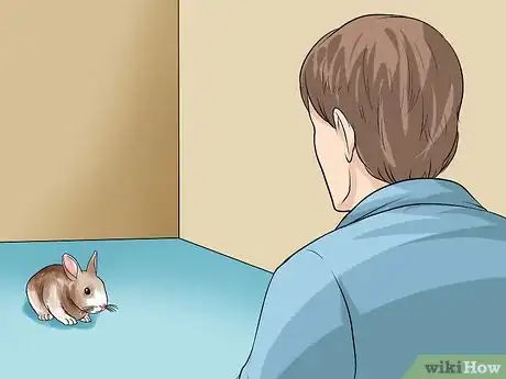 Image titled Teach a Rabbit Not to Scratch Step 1