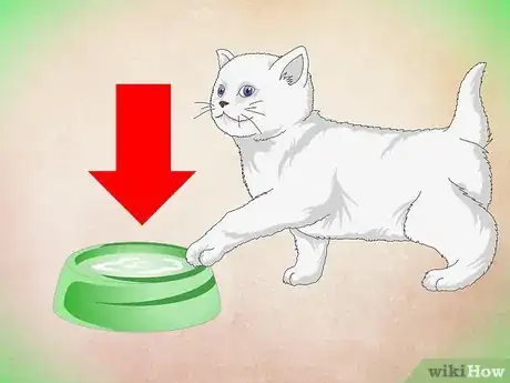 Image titled Make a Kitten Like Water Step 3