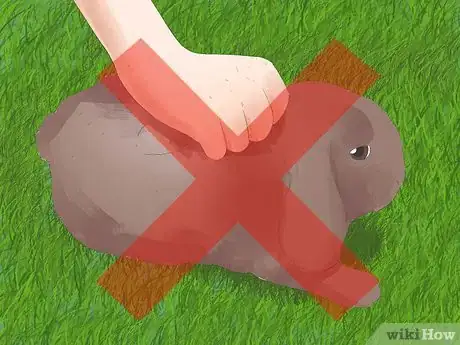 Image titled Understand Your Rabbit Step 14