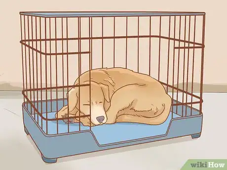 Image titled Care for Dogs Step 15