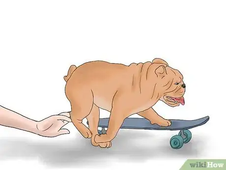 Image titled Teach a Bulldog to Skateboard Step 7