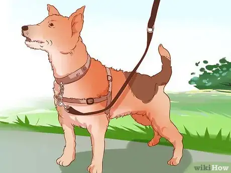 Image titled Stop a Dog from Pulling on Its Leash Step 12